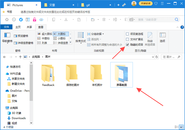 查看隐藏文件夹