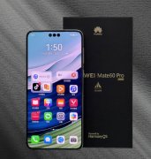 在上市九个月后，华为Mate60 Pro和Mate60手机仍然供不应求
